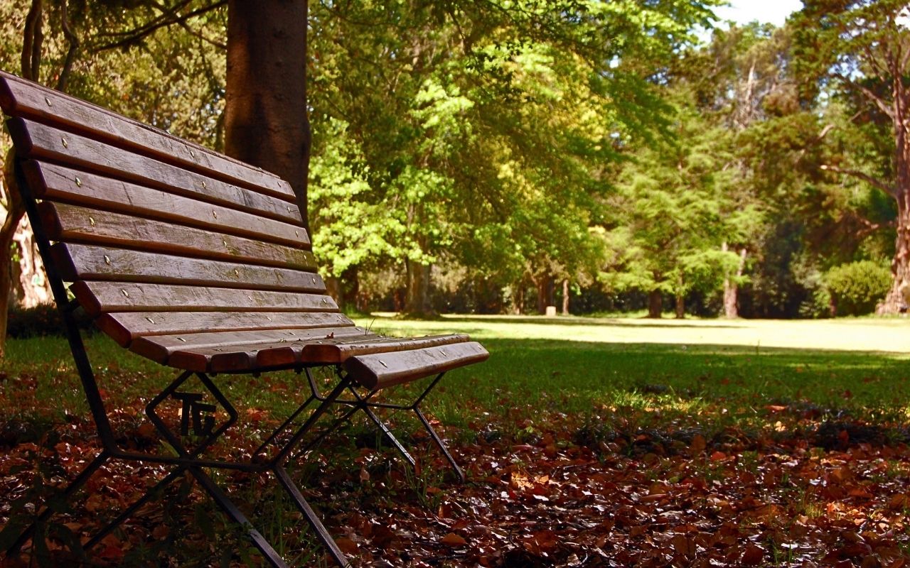 Imagen de galería 5