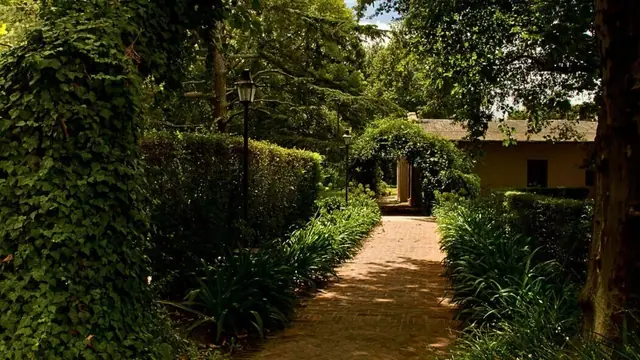Imagen de galería 3
