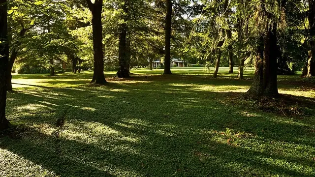 Imagen de galería 7