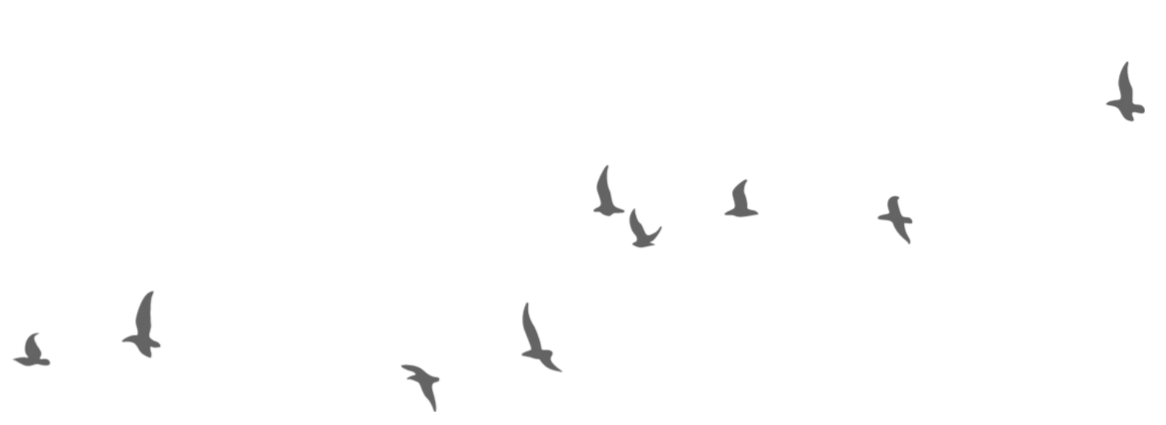 Pájaros volando a la izquierda